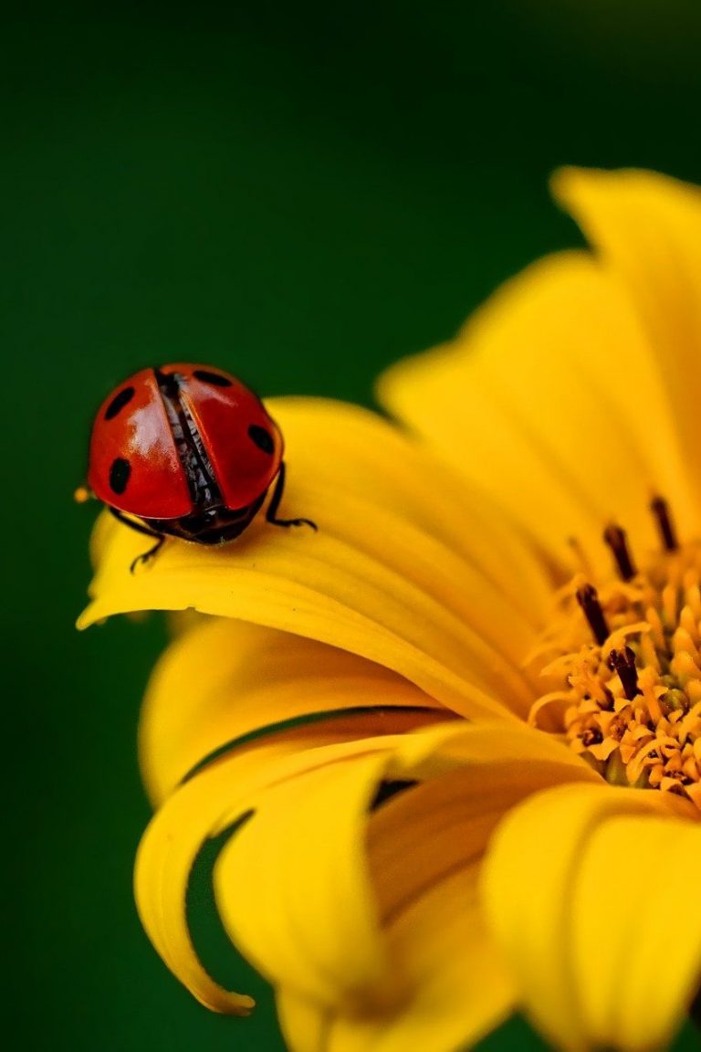 “Alle sollen in Sulzbach einfach gut leben!”